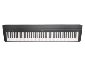 Pianoforti Digitali