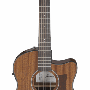 IBANEZ AAM54CE Chitarra acustica Elettrificata Open Pore Natural