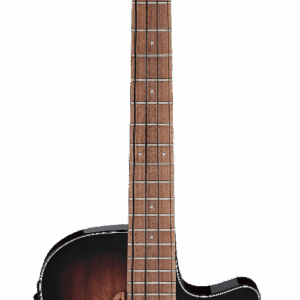 IBANEZ AEGB24E Basso Acustico Elettrificato Mahogany Sunburst High Gloss