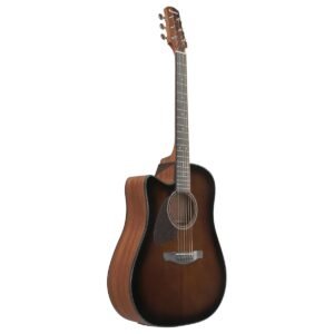 IBANEZ AAD51Ce Chitarra Acustica Elettrificata Colore Dark Violin Sumburst